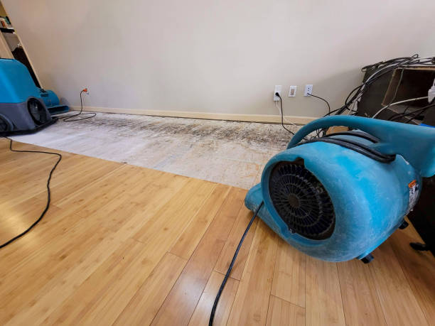 Reliable Basement Flood Cleanup contractor in Clearlake, CA by Hirex Water Damage
