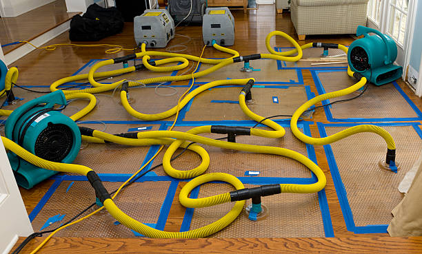 Professional Basement Flood Cleanup technician working in Clearlake, CA